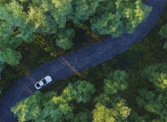 En Çok İhlal Edilen Trafik Kuralları