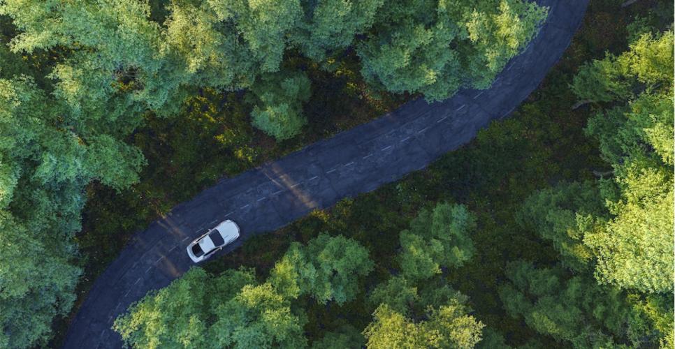 En Çok İhlal Edilen Trafik Kuralları